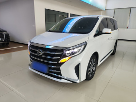 广汽传祺 传祺M8 2023款 领秀系列 390T 豪华版