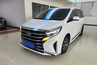 广汽传祺 传祺M8 2023款 领秀系列 390T 豪华版