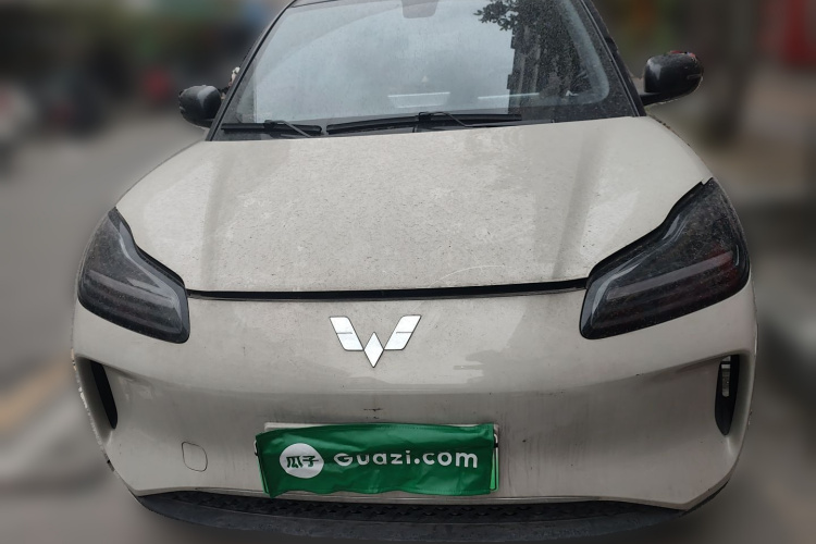 五菱汽车 五菱缤果PLUS 2024款 330km 五座版车身外观6001