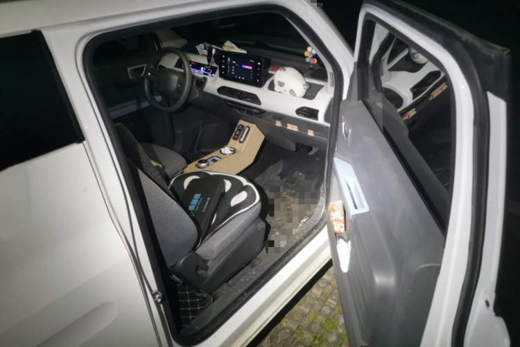 吉利银河 2023款 熊猫mini 200km 耐力熊局部细节9005