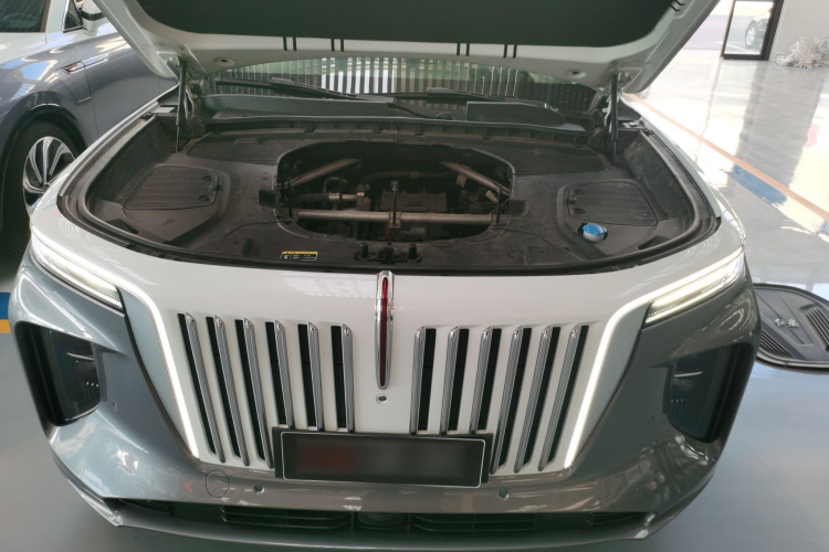 红旗E-HS9 2022款 660km 旗领版 四座机舱底盘24