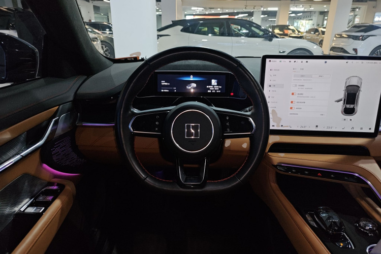 极氪001 2021款 超长续航单电机 WE版中控内饰13