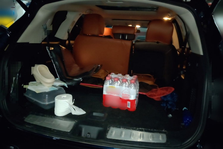 英菲尼迪QX60(进口) 2018款 2.5 S/C Hybrid 两驱卓越版 国VI局部细节23