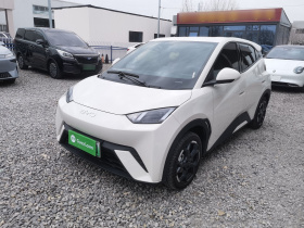 比亚迪 海鸥 2025款 405km 飞翔版