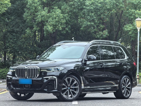 宝马X7 2019款 xDrive40i 行政型M运动套装