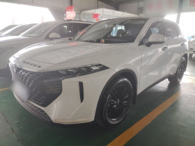 启辰大V 2024款 260T 爱豆悦行版Pro