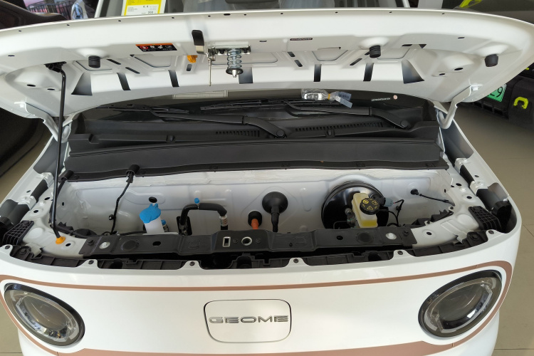 吉利银河 2024款 熊猫mini 200km 耐力熊局部细节24