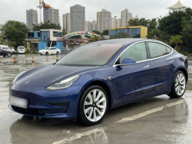 特斯拉 Model 3 2019款 标准续航后驱升级版