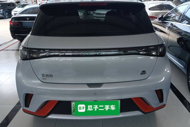 比亚迪 海豚 2021款 405km 自由版车身外观6004