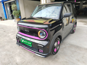 吉利银河 2024款 200km 熊猫卡丁