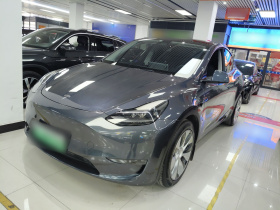 特斯拉 Model Y 2021款 标准续航后驱版