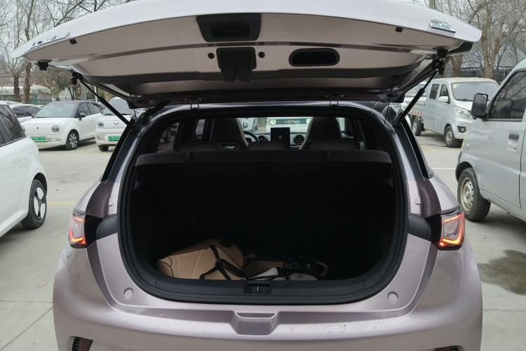 比亚迪 海豚 2021款 405km 时尚版局部细节23