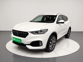 魏牌 VV6 2019款 2.0T 两驱超豪型 国VI