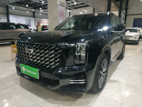 广汽传祺 传祺GS8 2024款 领航系列 2.0TGDI 四驱豪华智联版