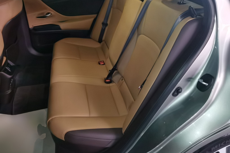 雷克萨斯ES 2020款 300h 卓越版中控内饰21