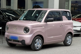 吉利银河 2023款 熊猫mini 200km 耐力熊