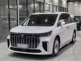 岚图汽车 岚图梦想家 2024款 PHEV 超长续航尊贵版