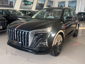 红旗HS5 2025款 2.0T 两驱旗享Pro版