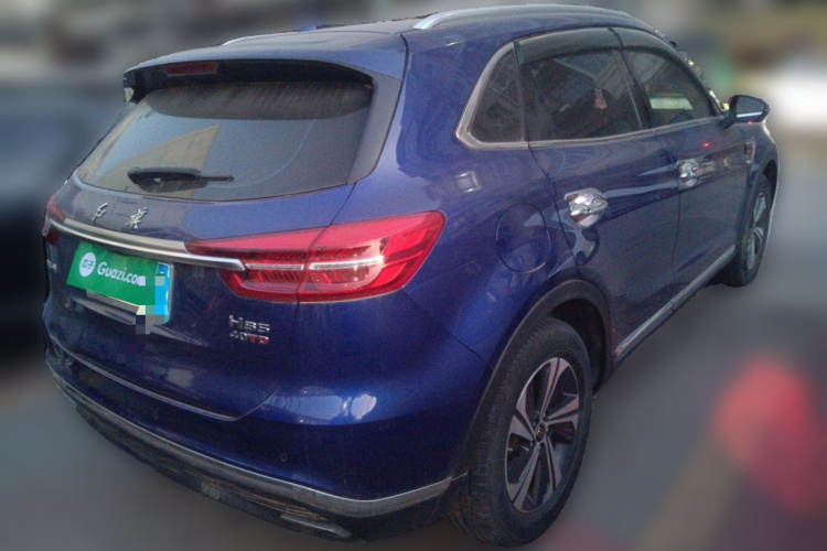 红旗HS5 2019款 2.0T 智联旗享版车身外观6005