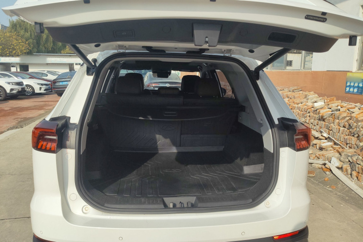 奇瑞 瑞虎8 PRO 2024款 冠军版 290T 两驱巅峰版 5座局部细节23