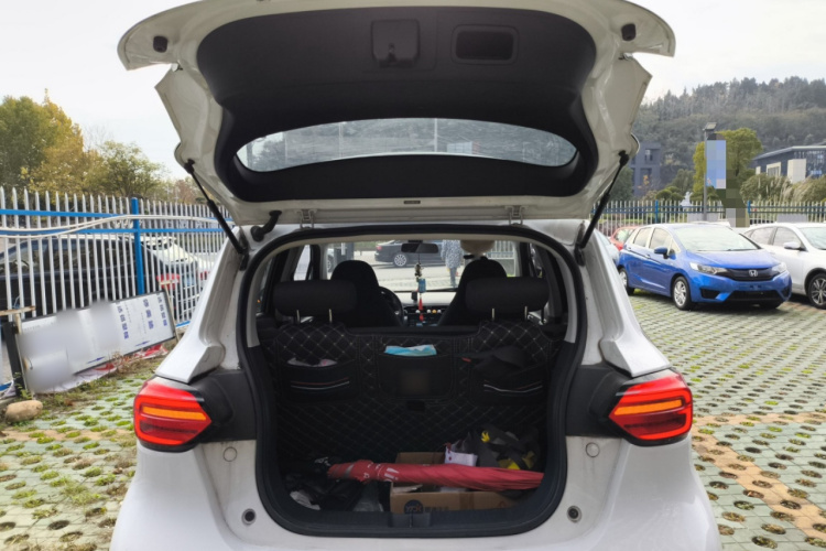 零跑汽车 零跑T03 2021款 400轻享版 磷酸铁锂机舱底盘23