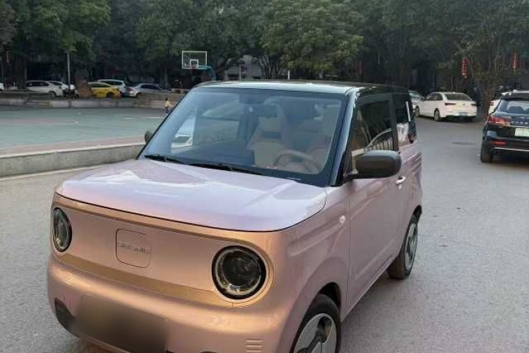 吉利银河 2023款 熊猫mini 200km 灵动熊车身外观6003