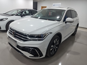 大众 途观L 2024款 出众款 330TSI 自动两驱R-Line龙耀版