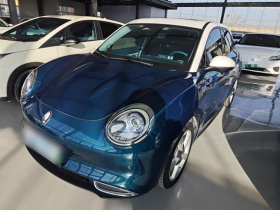 欧拉好猫 2021款 400km标准续航 维纳斯版 三元锂