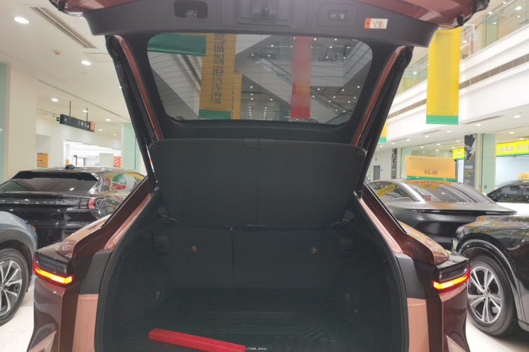 雷克萨斯RZ 2023款 450e 四驱纵享版局部细节23