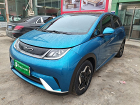 比亚迪 海豚 2021款 405km 时尚版