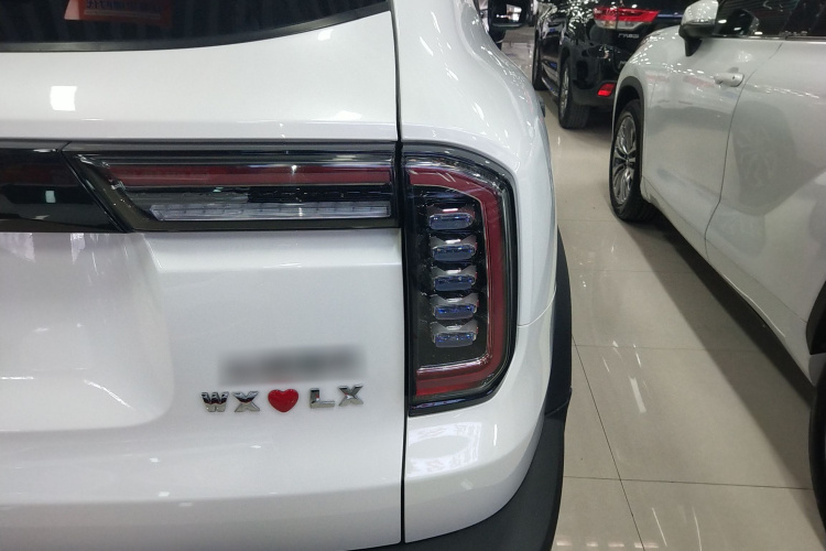 哈弗大狗 2022款 1.5T DCT两驱边牧版车身外观9