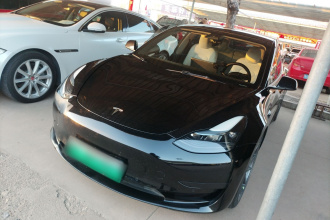 特斯拉 Model 3 2022款 后轮驱动版
