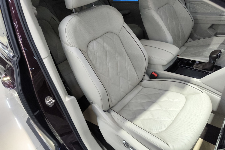 大众 威然 2020款 380TSI 尊贵版局部细节41