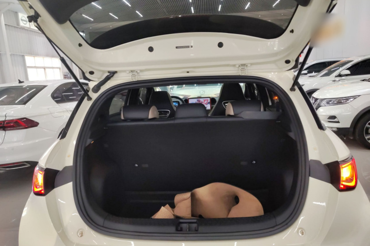 比亚迪 海豚 2021款 405km 时尚版局部细节23