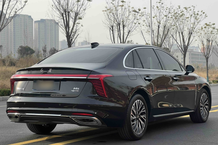 红旗H5 2024款 2.0T 自动智联旗畅版车身外观6005