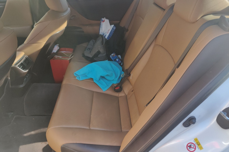 雷克萨斯ES 2018款 200 卓越版 国V中控内饰7004