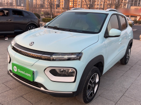 东风纳米EX1 2023款 PRO 轻风版闪电型