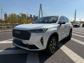 哈弗H6 2021款 第三代 1.5T 自动两驱Max