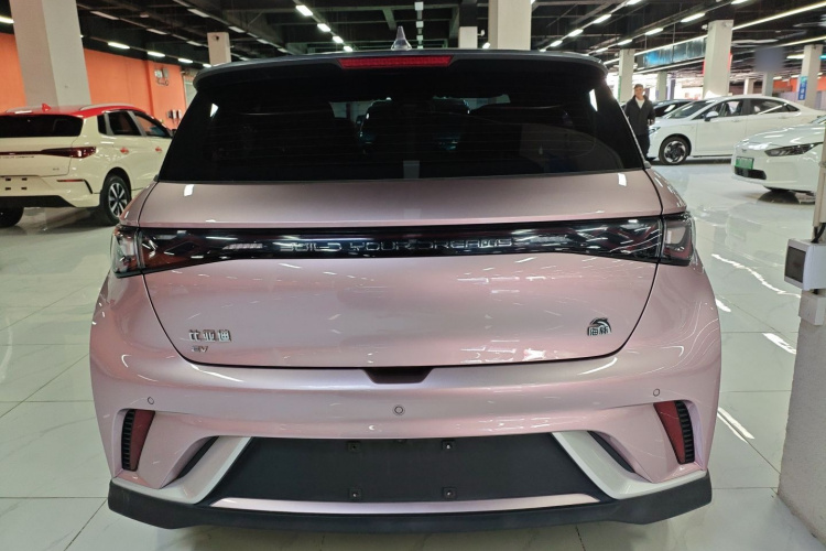 比亚迪 海豚 2021款 401km 骑士版车身外观6004