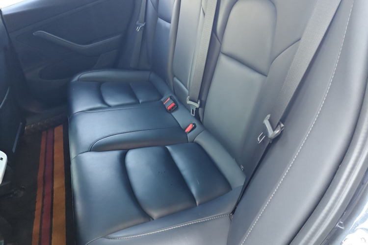 特斯拉 Model 3(进口) 2019款 长续航全轮驱动版中控内饰21