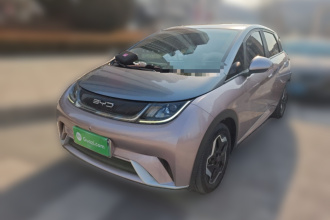 比亚迪 海豚 2021款 405km 时尚版