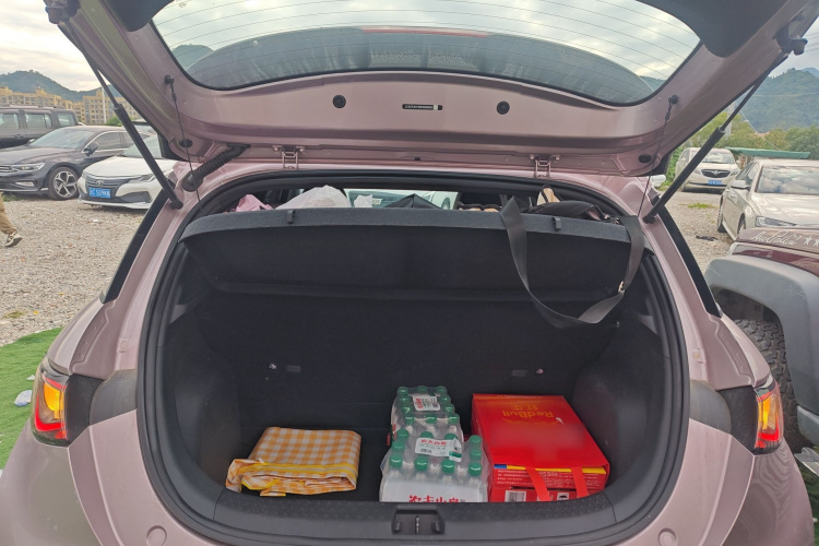 比亚迪 海豚 2021款 405km 时尚版机舱底盘23