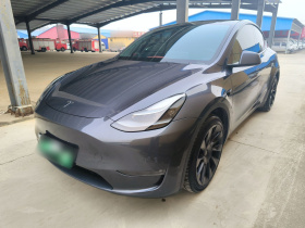 特斯拉 Model Y 2021款 长续航全轮驱动版 3D7