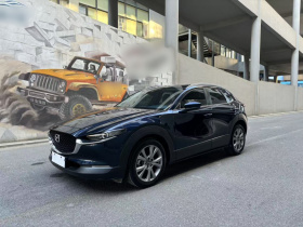 马自达CX-30 2020款 2.0L 自动嘉悦型