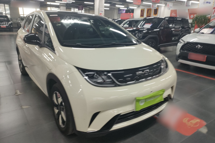 比亚迪 海豚 2024款 荣耀版 420km 时尚版车身外观3