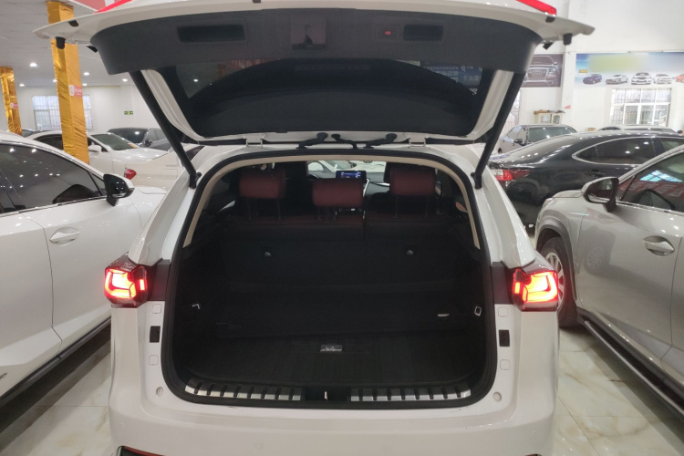 雷克萨斯NX 2020款 200 前驱 锋行版 国VI机舱底盘23