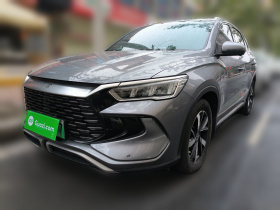 比亚迪 宋Pro新能源 2023款 冠军版 DM-i 110KM超越型