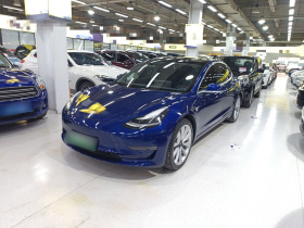 特斯拉 Model 3 2020款 改款 长续航后轮驱动版
