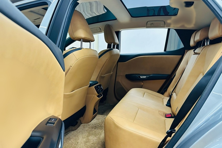 雷克萨斯RZ 2023款 450e 四驱纵享版局部细节9005