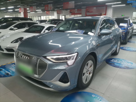 奥迪e-tron 2021款 50 quattro 豪华型